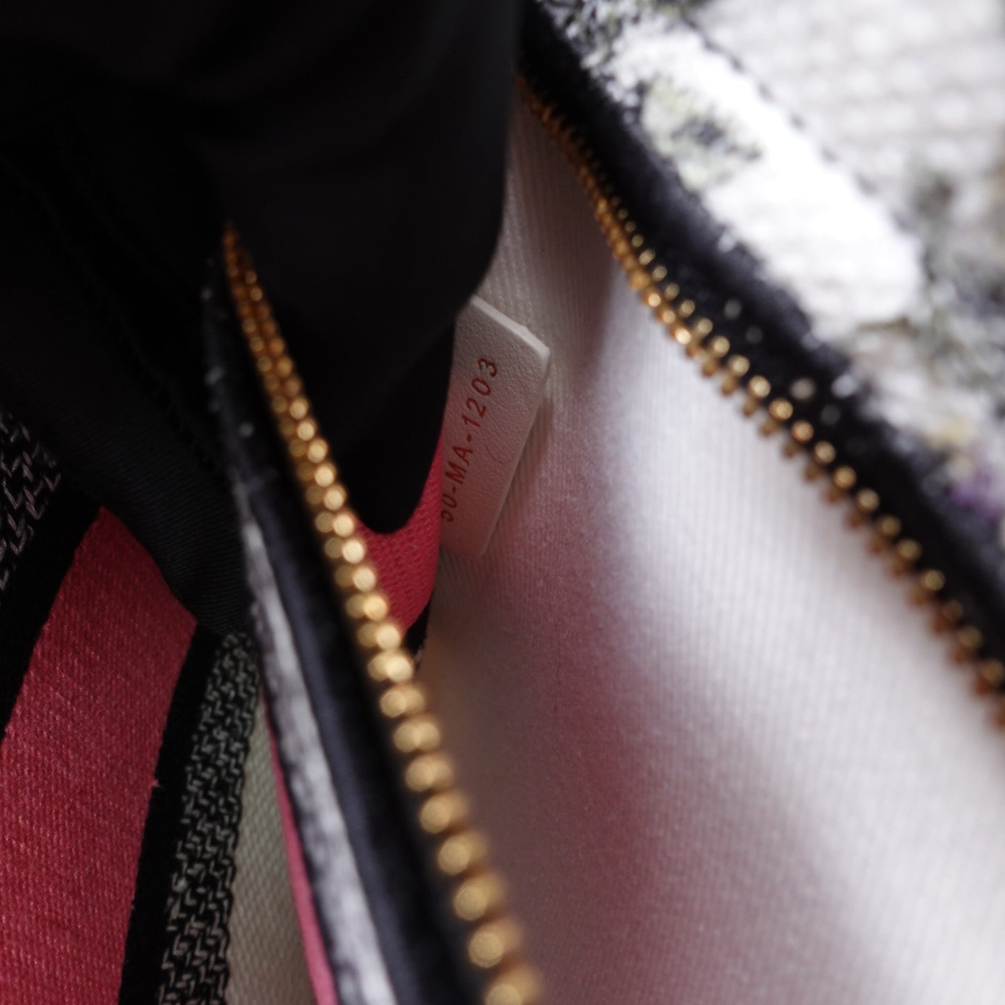 Pre-owned Dior D-Lite Multicolor Canvas Shoulder Bag