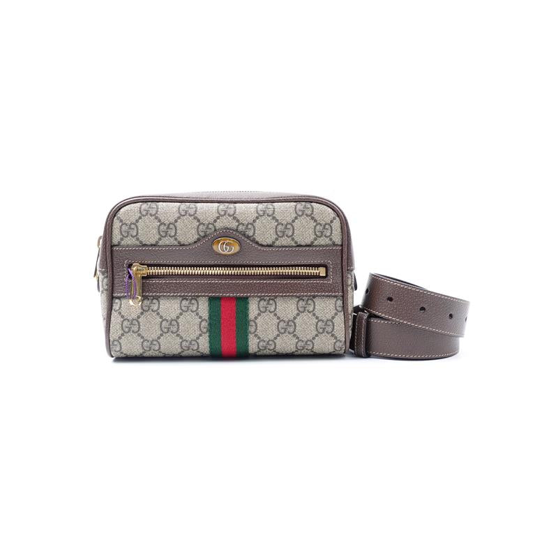 Pre-owned Louis Vuitton Ophidia Coated Canvas Belt Bag