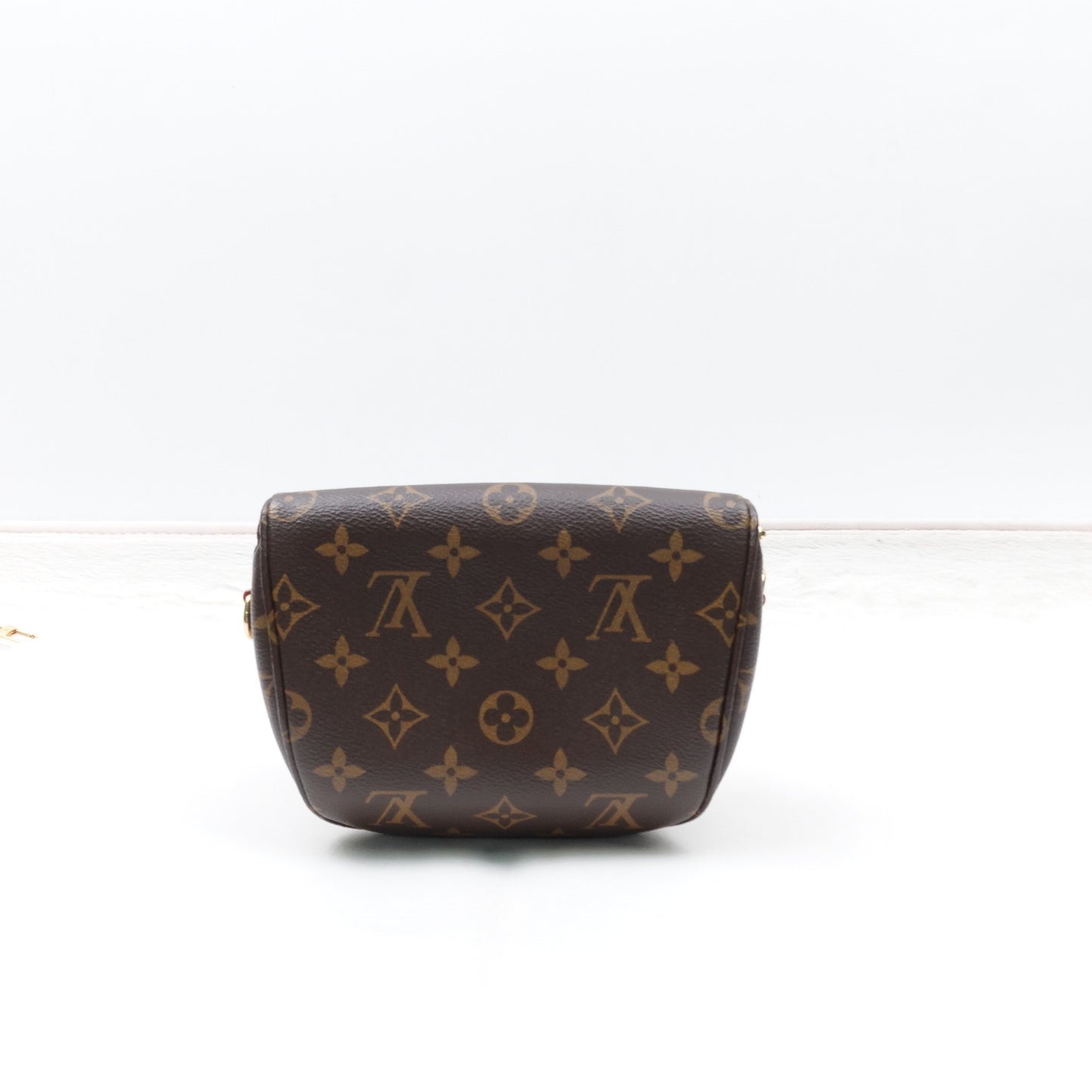Pre-owned Louis Vuitton Outdoor Monogram Coated Canvas Belt Bag