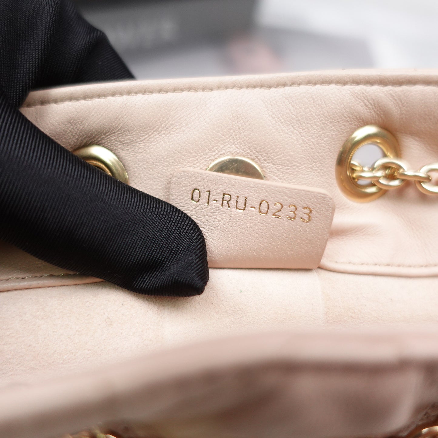 Pre-Owned Dior Ammi Naked Pink Lambskin Shoulder Bag