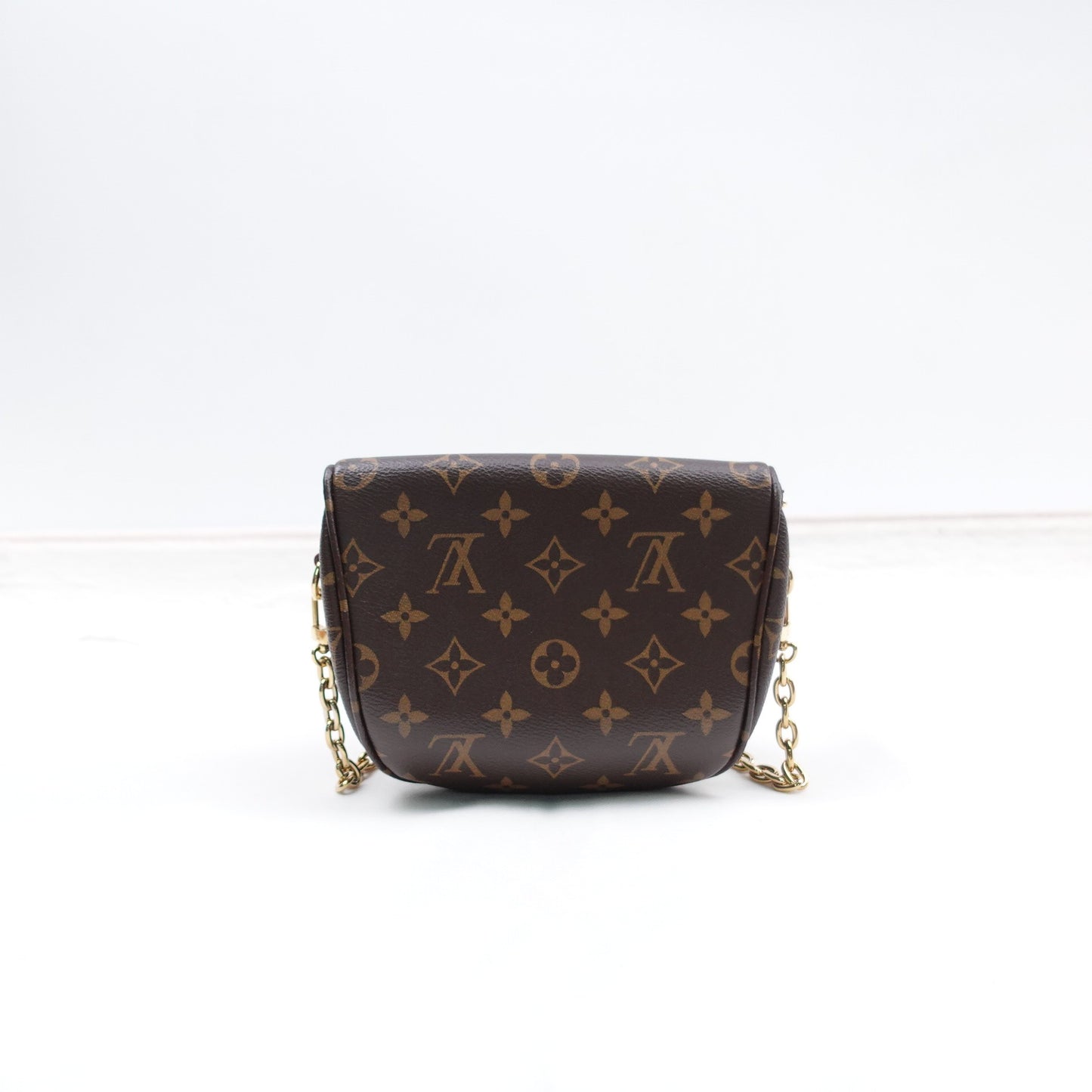 Pre-owned Louis Vuitton Outdoor Monogram Coated Canvas Mini Bumbag
