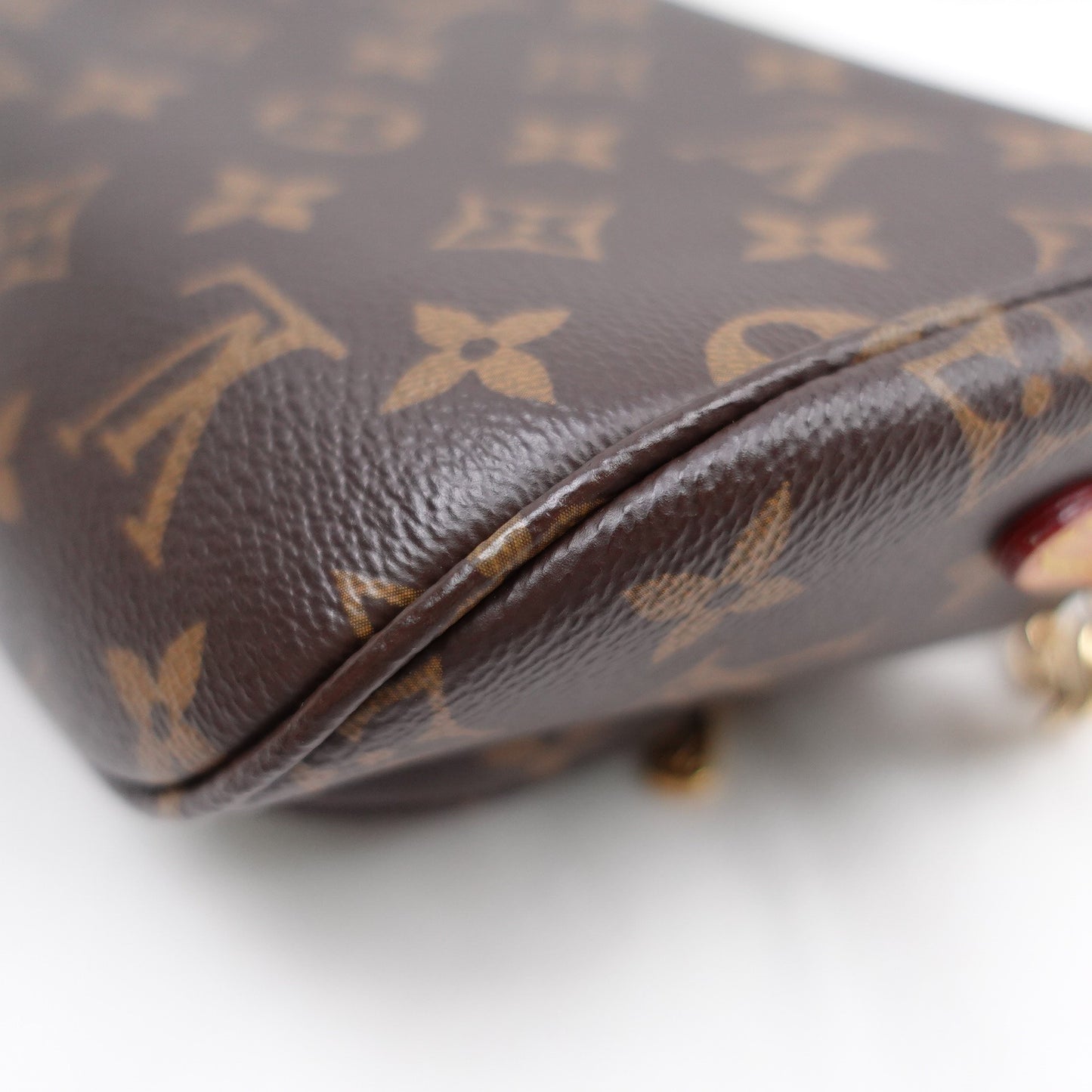 Pre-owned Louis Vuitton Outdoor Monogram Coated Canvas Mini Bumbag