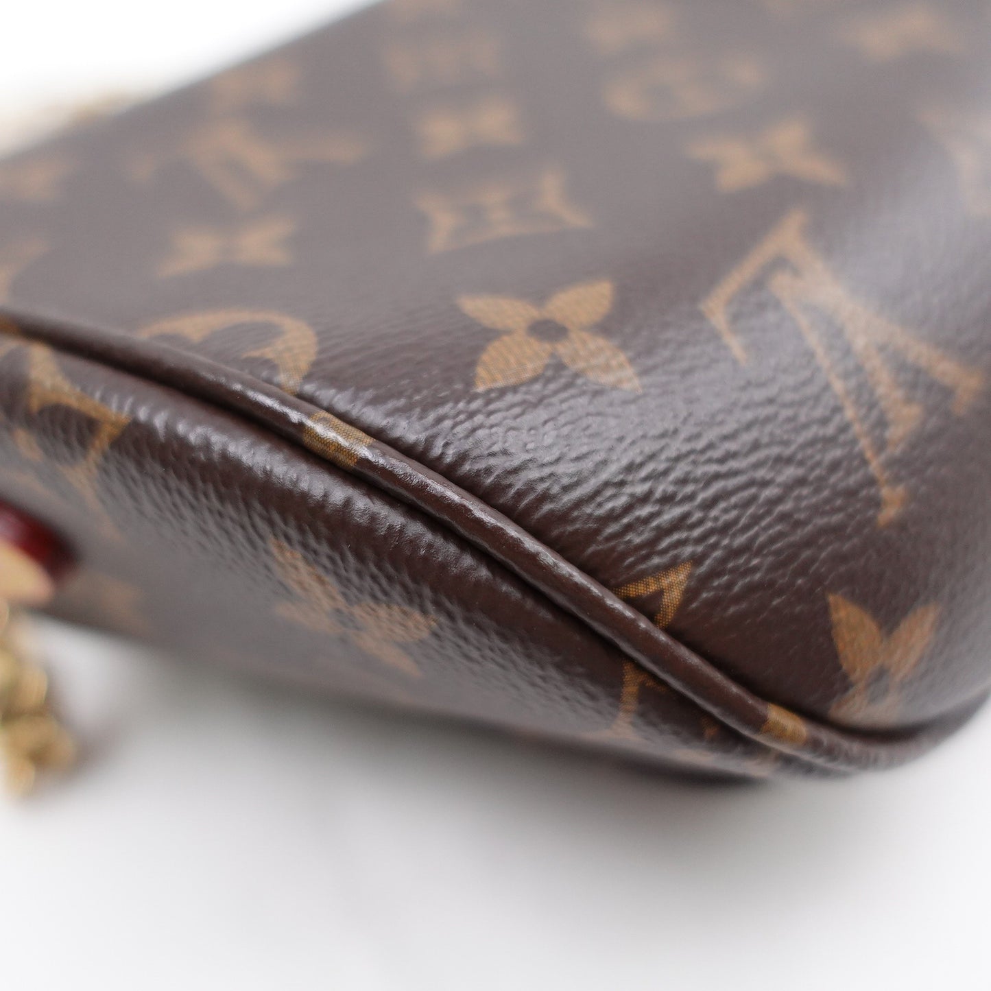 Pre-owned Louis Vuitton Outdoor Monogram Coated Canvas Mini Bumbag