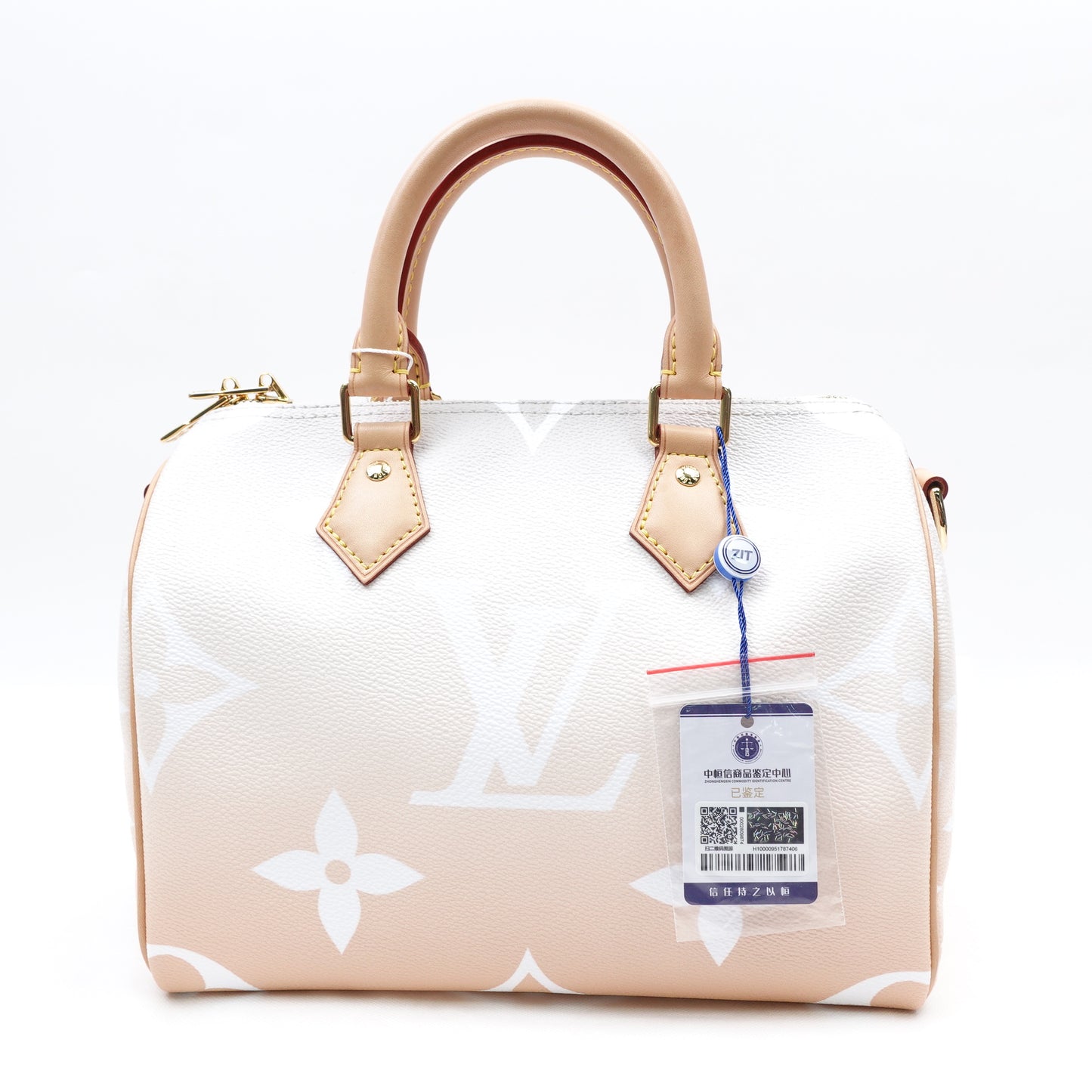 Pre-owned Louis Vuitton Speedy 25 Bandouliere By The Pool Coated Canvas Shoulder Bag