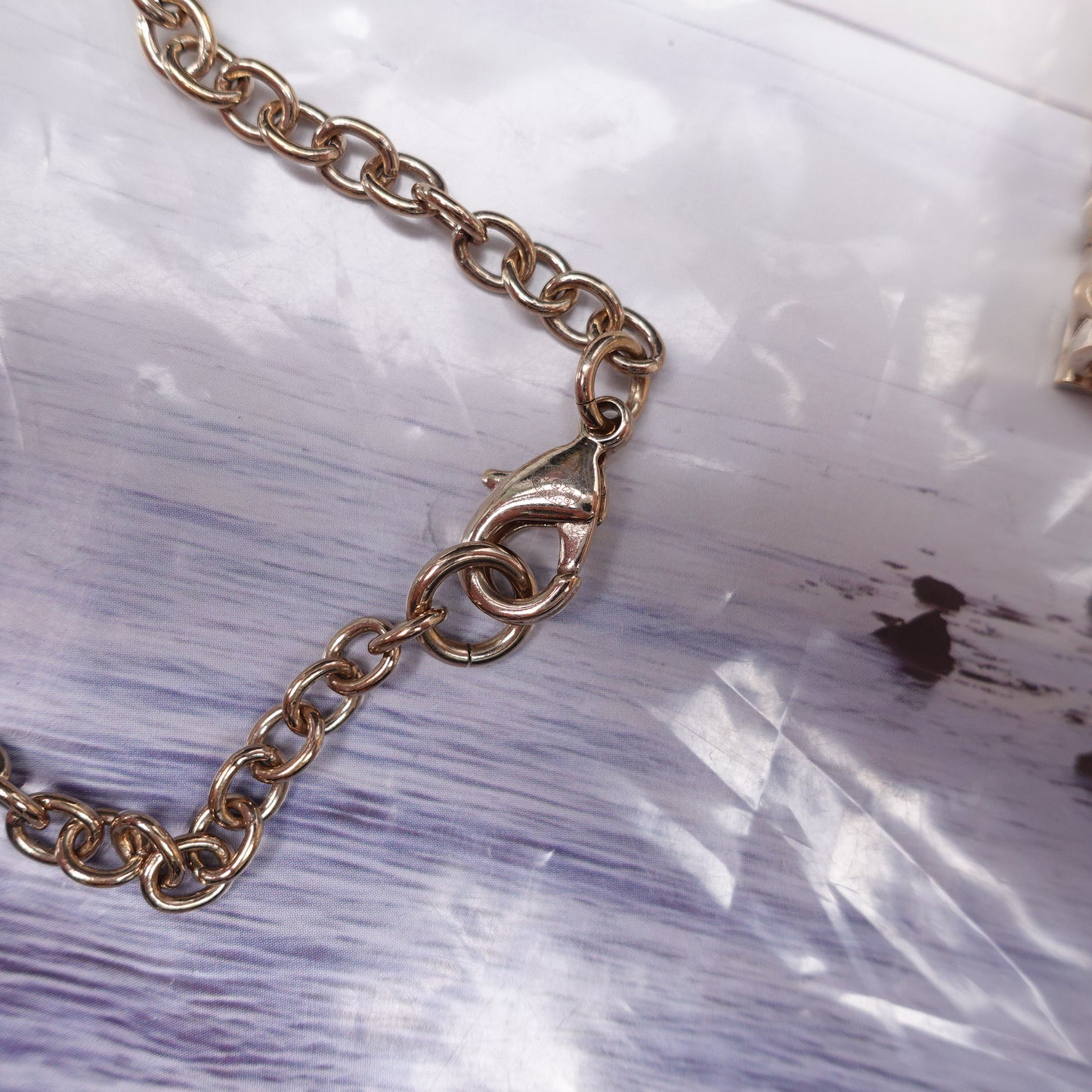 Pre-owned Chanel Leon Book Necklace