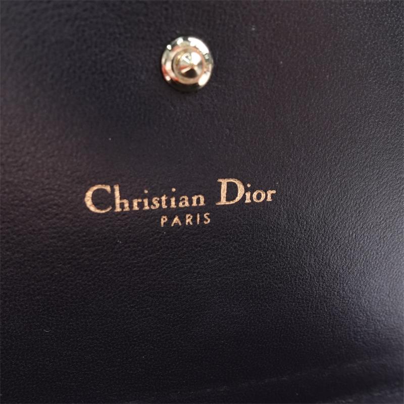 Pre-owned Dior Diorma WOC Silver Vernis Shoulder Bag